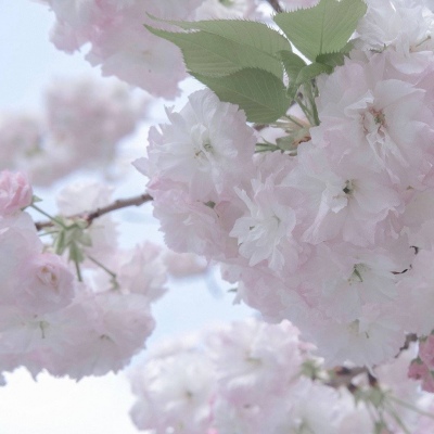 Furry绘画动态技巧兽圈群